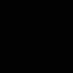 Meet your Posher, Mia